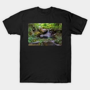 Mambukal Mountain Resort Philippines T-Shirt